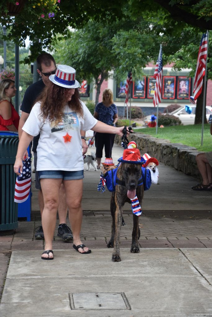 dog show 6-2019 051 (683x1024).jpg